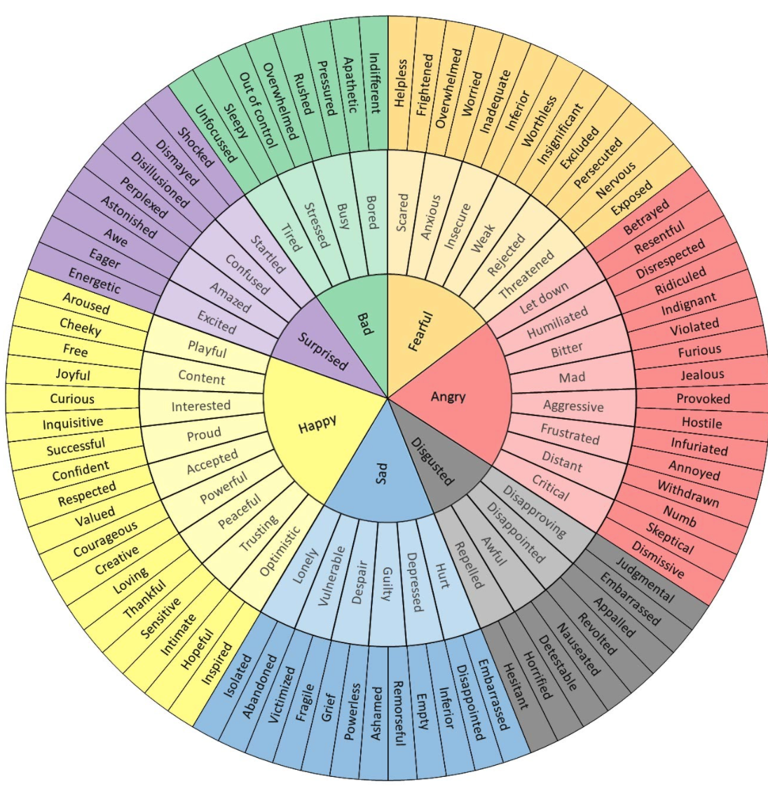 Feelings Wheel showing examples of feelings a person might have at any given moment